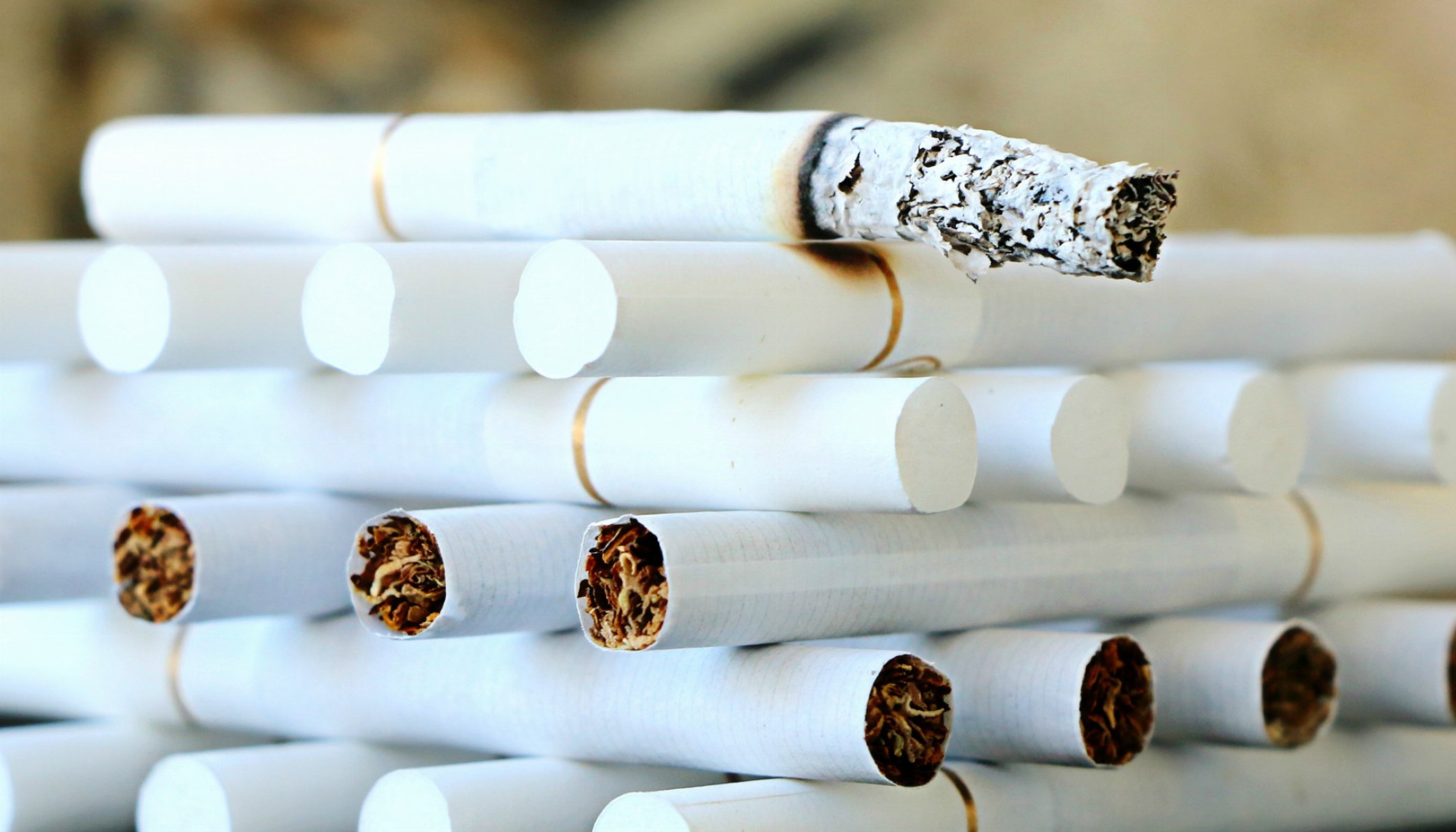 Kouření zakázáno! No smoking! Rauchen verboten!