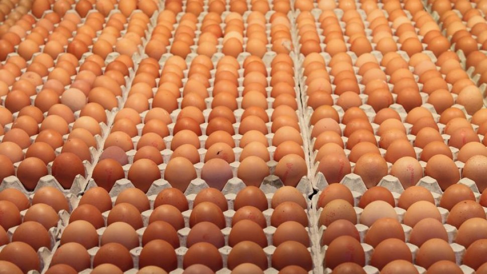 Jak dlouho je možné prodávat vejce? 